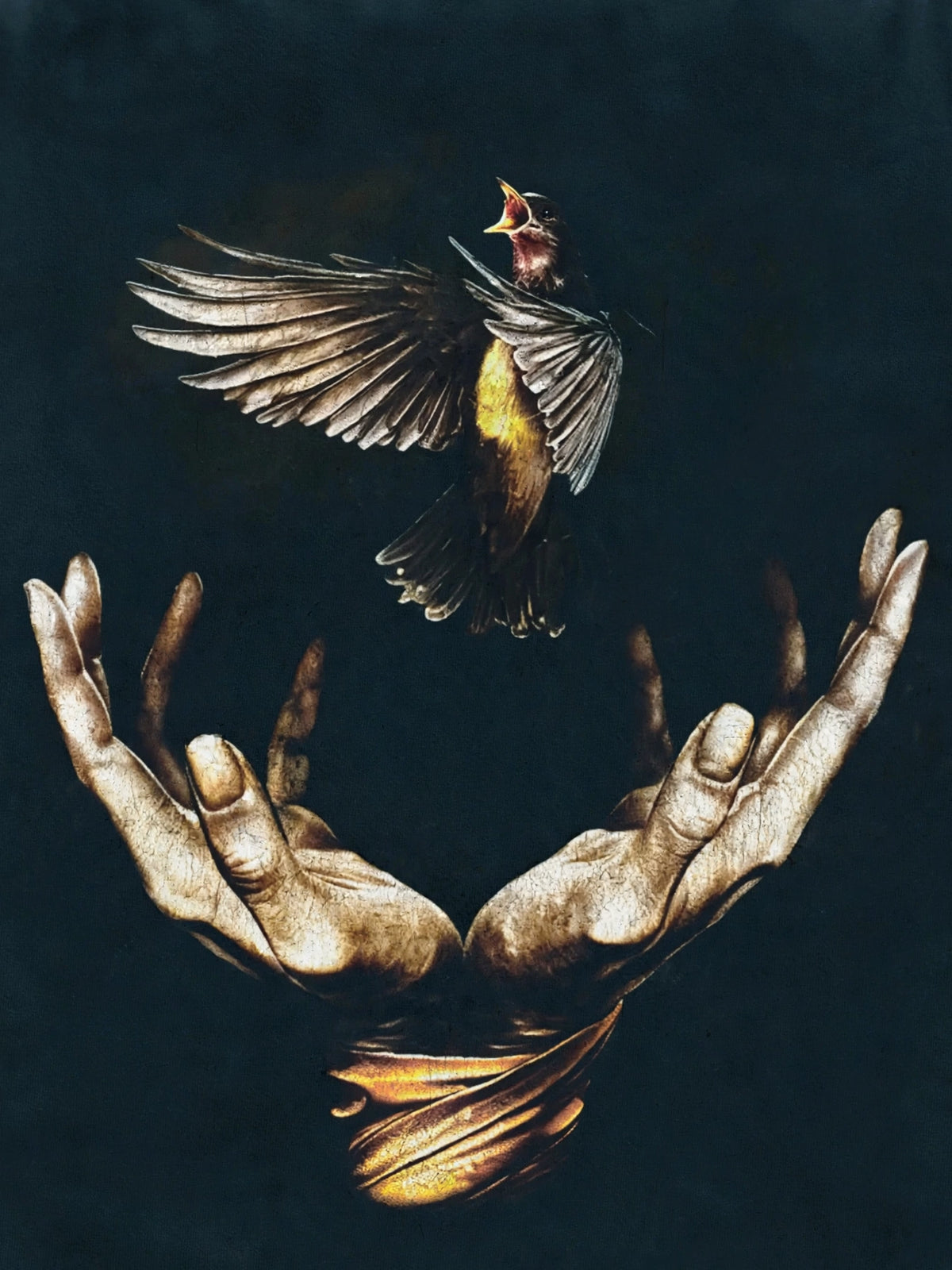 Bird & Hands Artistic Graphic T-shirt